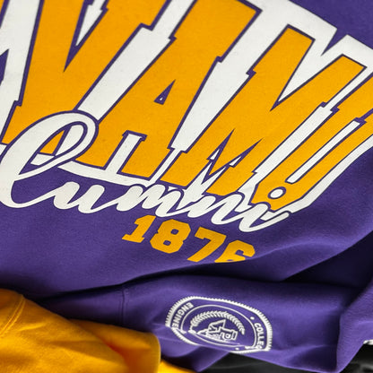 PV Alumni Customizable Hoodie - Purple